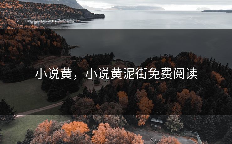 小说黄，小说黄泥街免费阅读