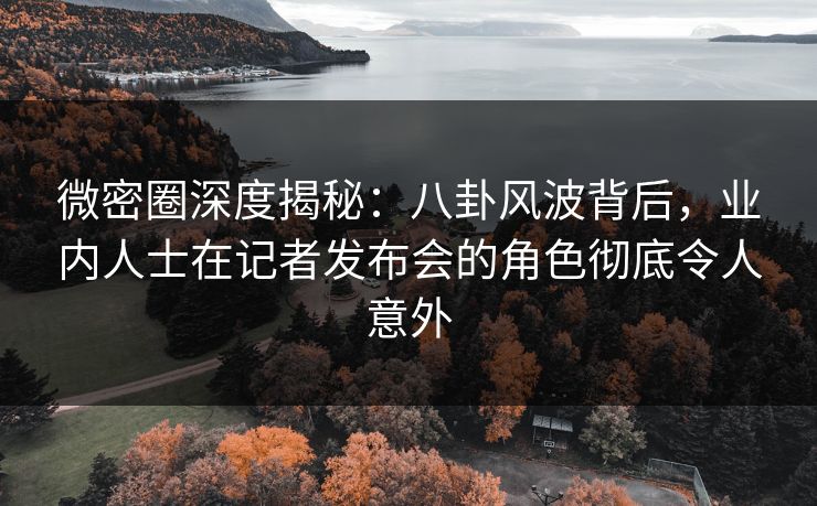 微密圈深度揭秘：八卦风波背后，业内人士在记者发布会的角色彻底令人意外
