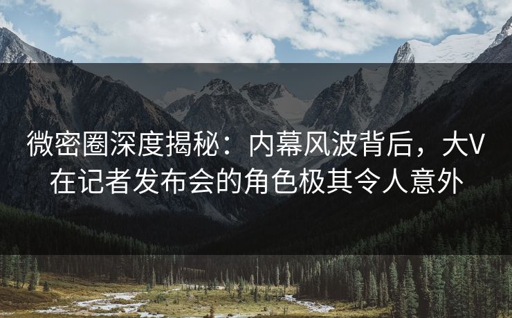 微密圈深度揭秘：内幕风波背后，大V在记者发布会的角色极其令人意外