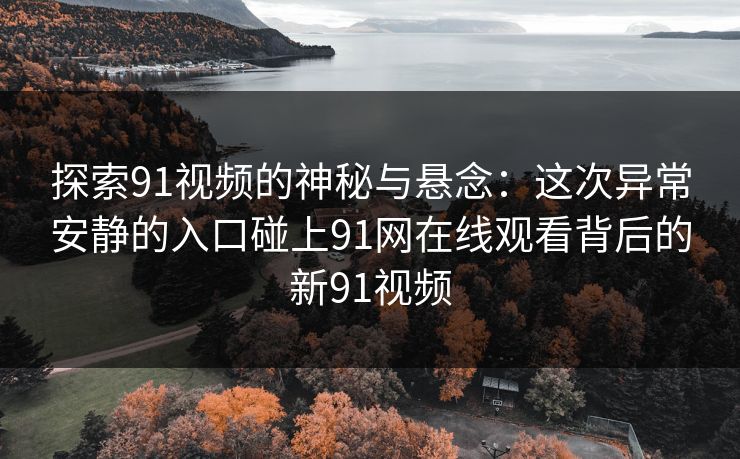 探索91视频的神秘与悬念：这次异常安静的入口碰上91网在线观看背后的新91视频